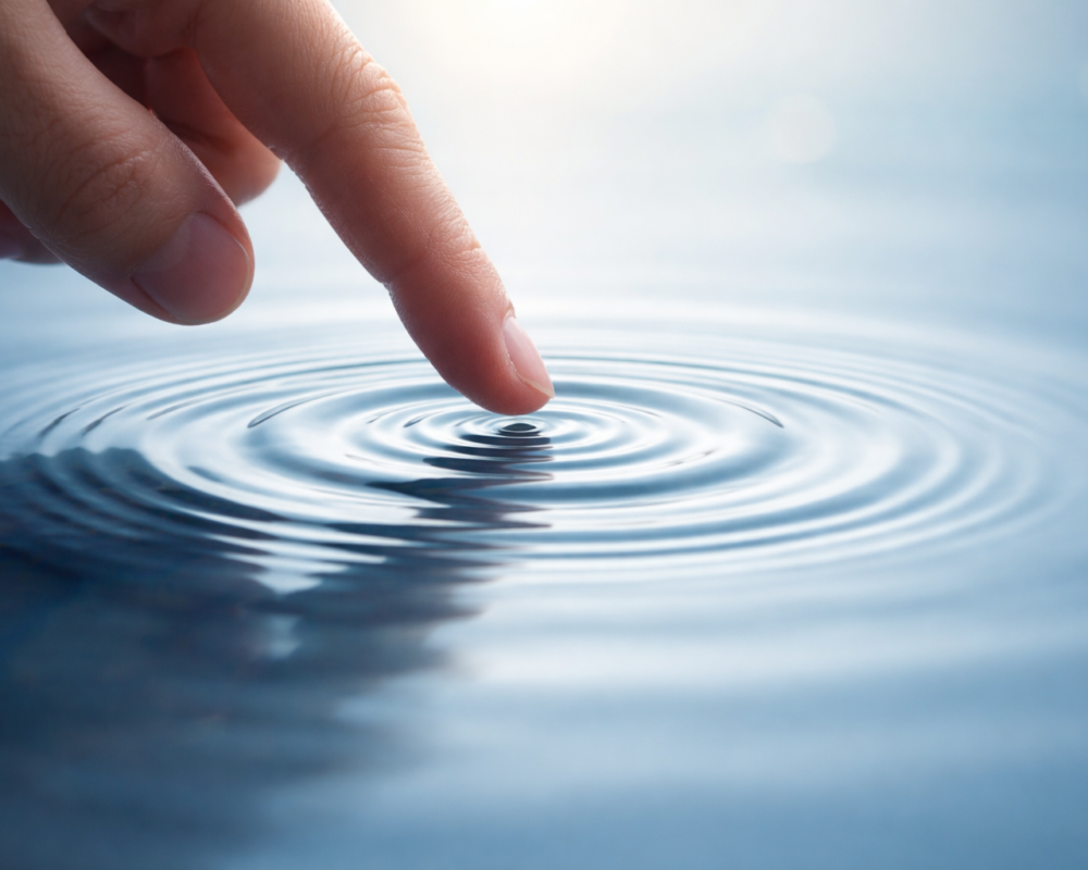 Tiny Touches, Real Results: Why Small Details Build Better Products